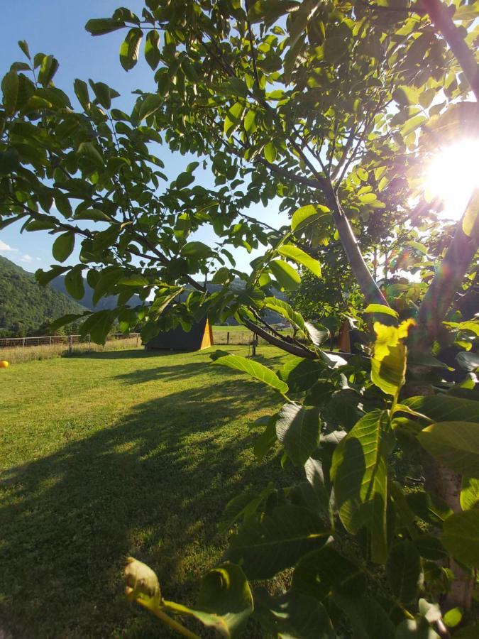 فندق Glamping Hiske Petrin تولمين المظهر الخارجي الصورة